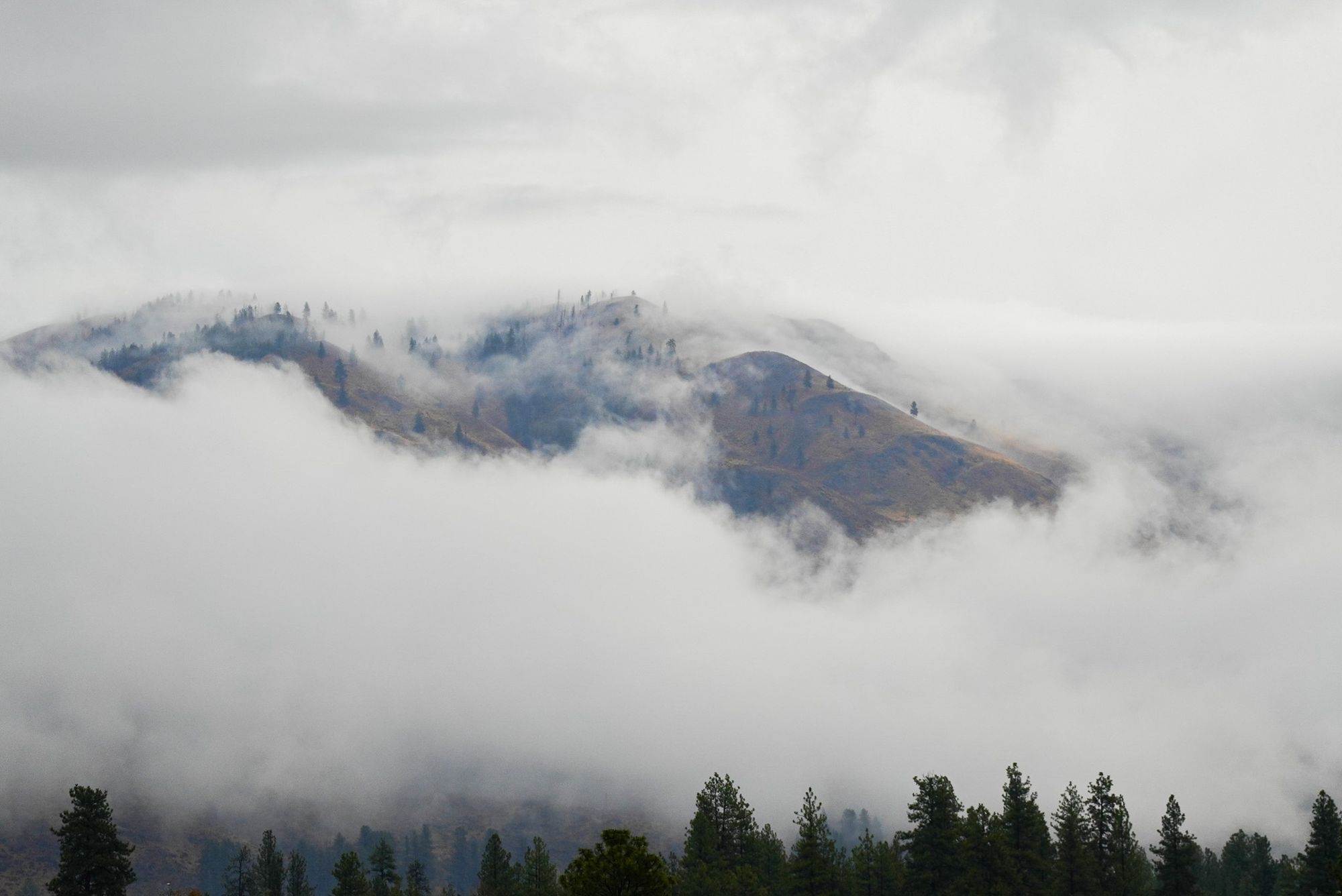 cloudy day in the Methow Valley