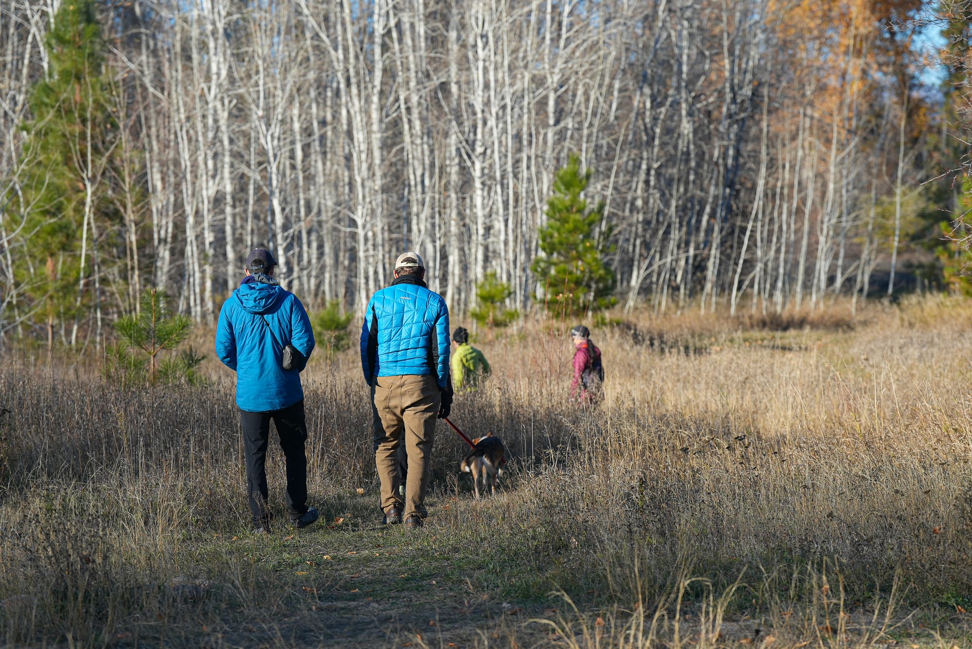 people walking