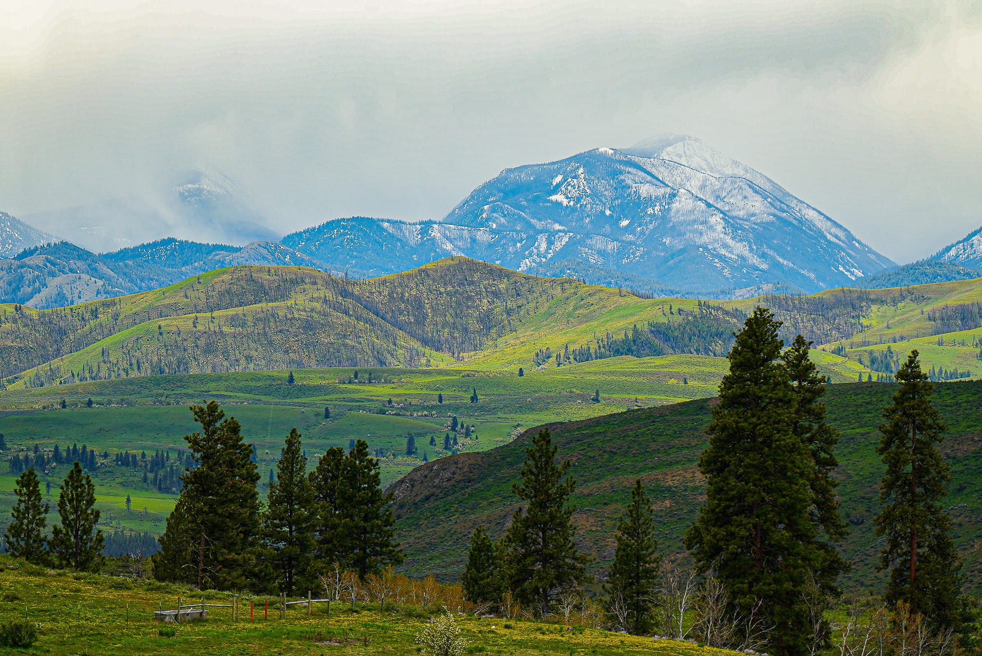 green hint on hills