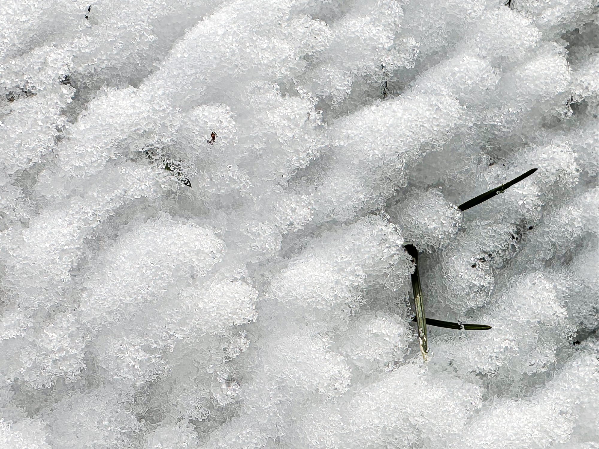 snowflakes on ground