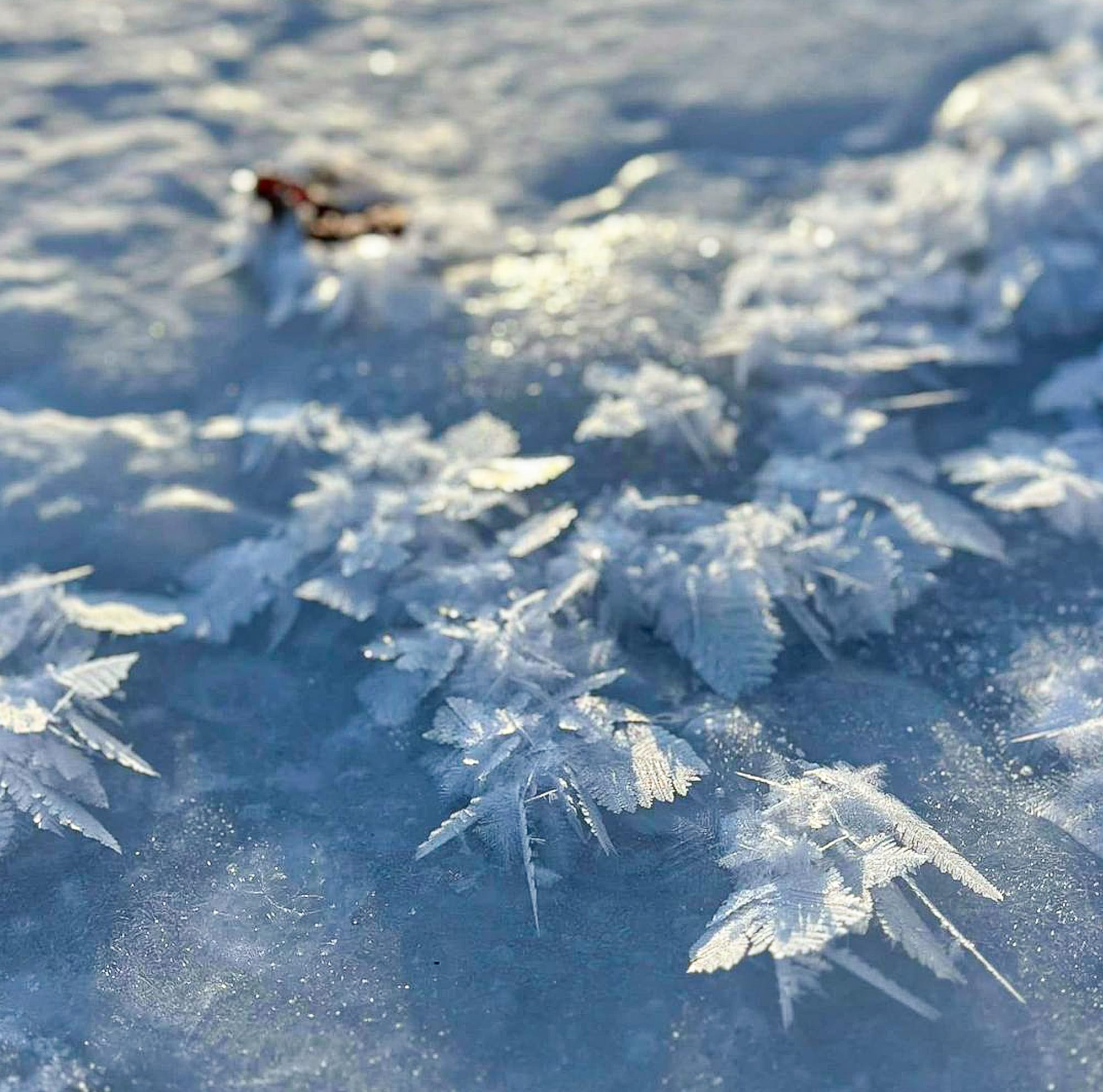 ice crystals