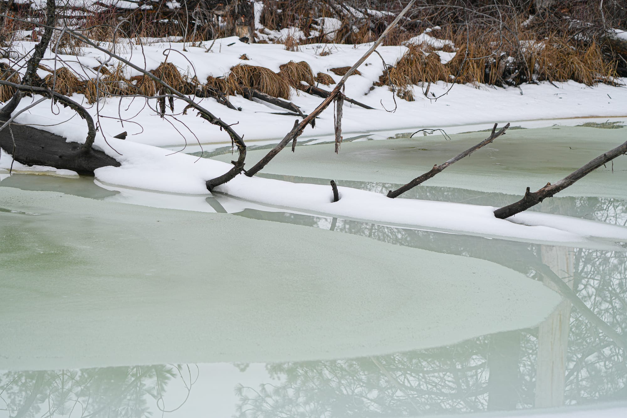 melting ice