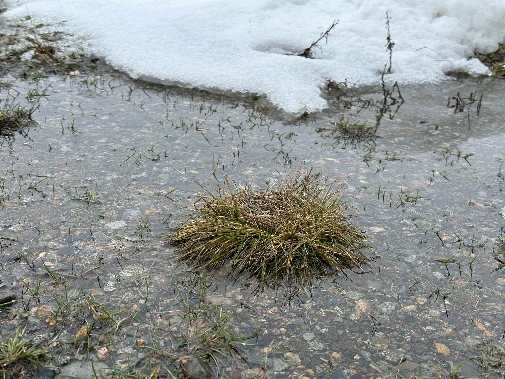 water puddle