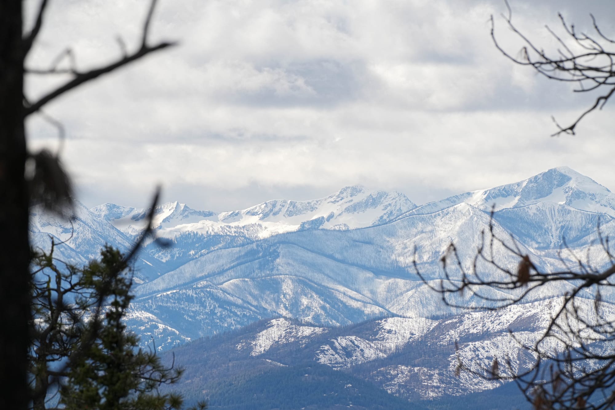 snowy peaks