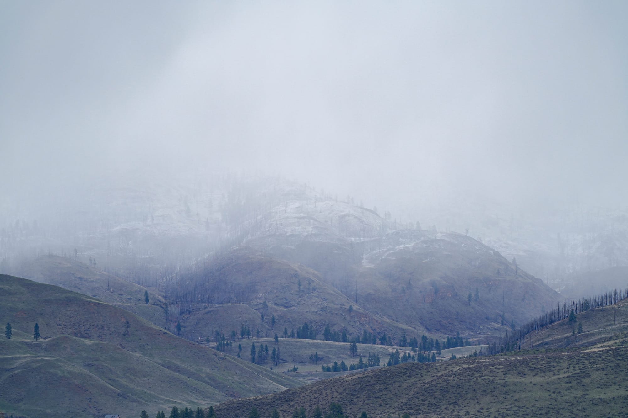 snowy hills