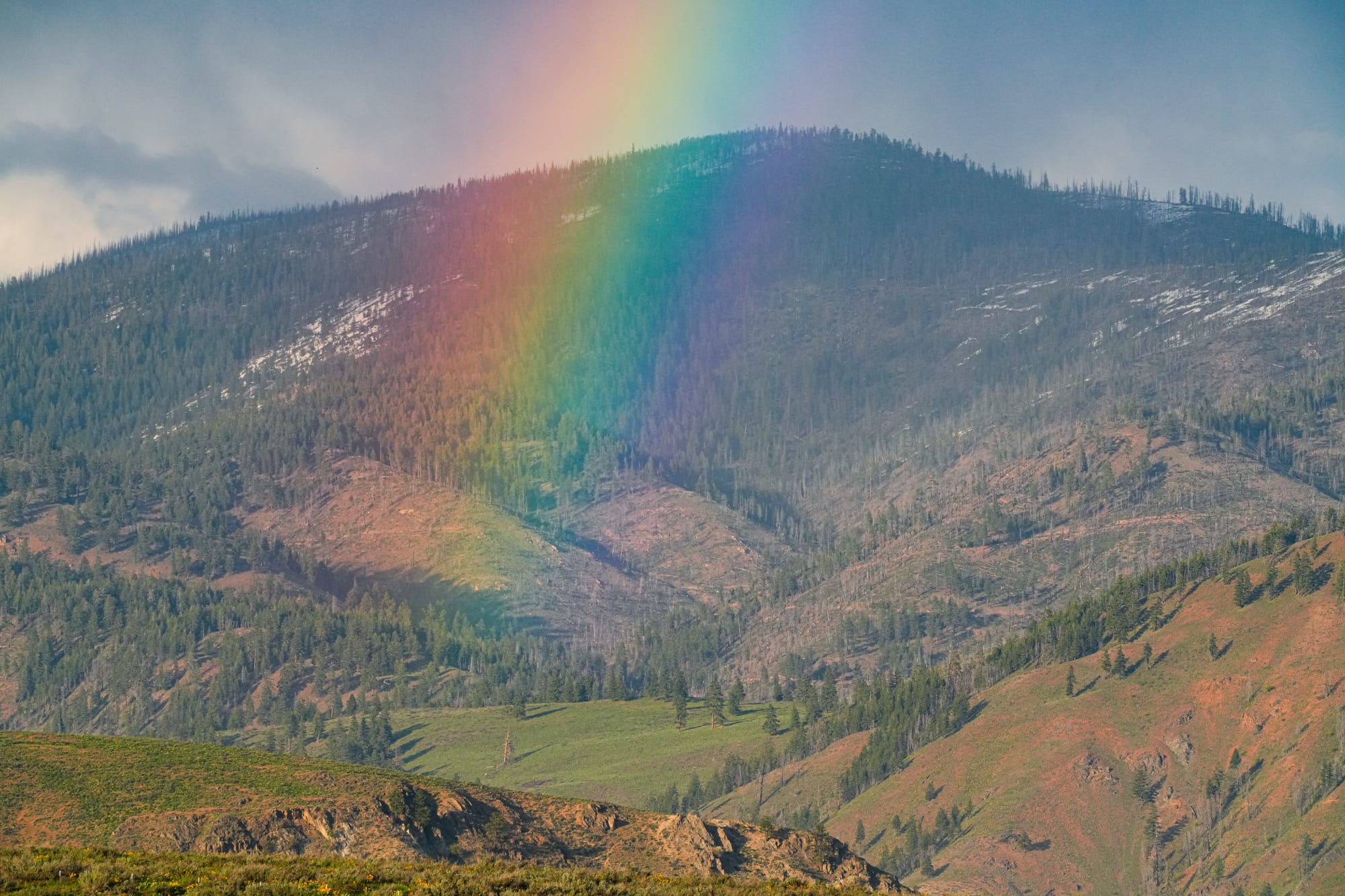 rainbow