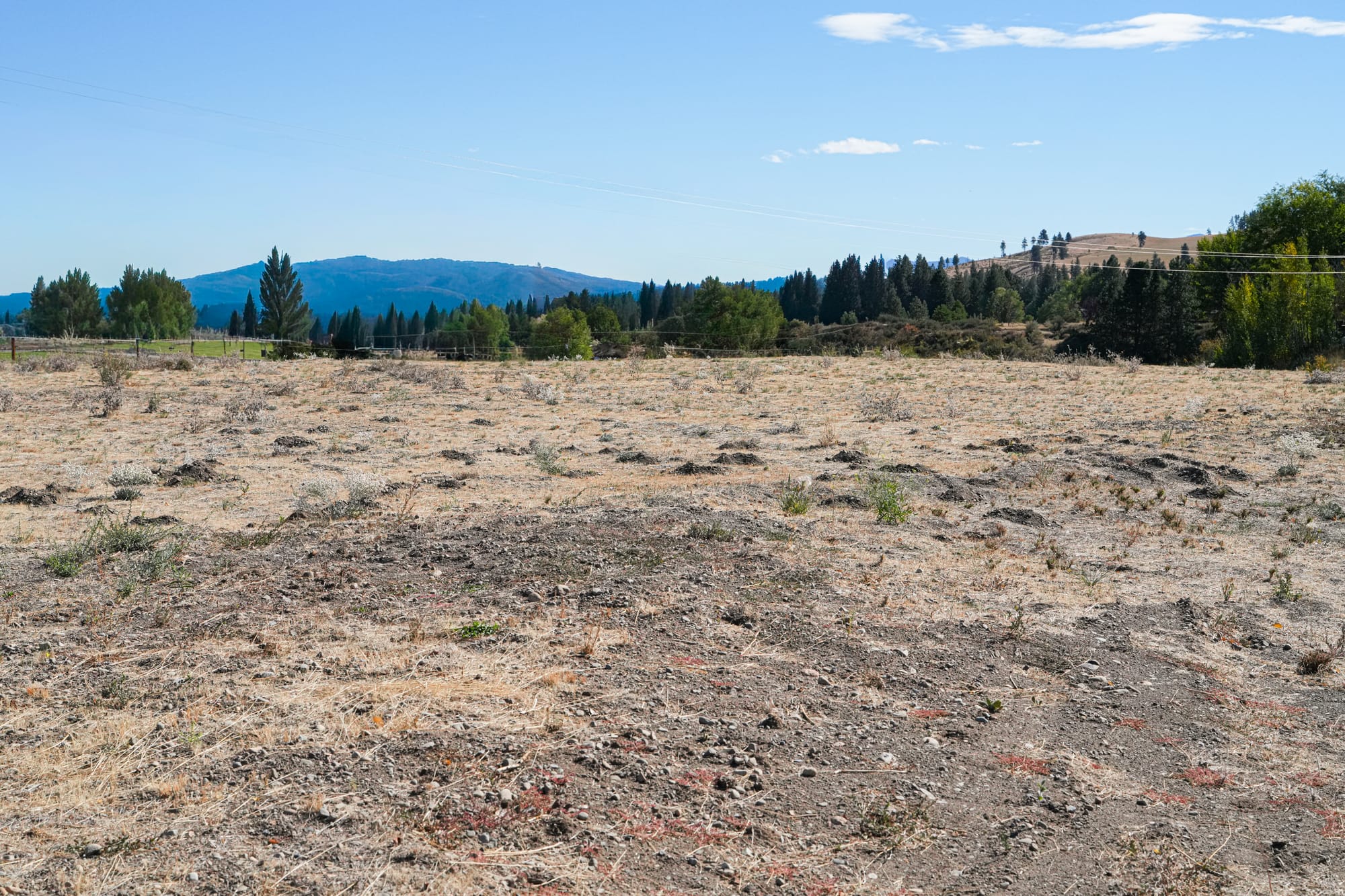 cleared land