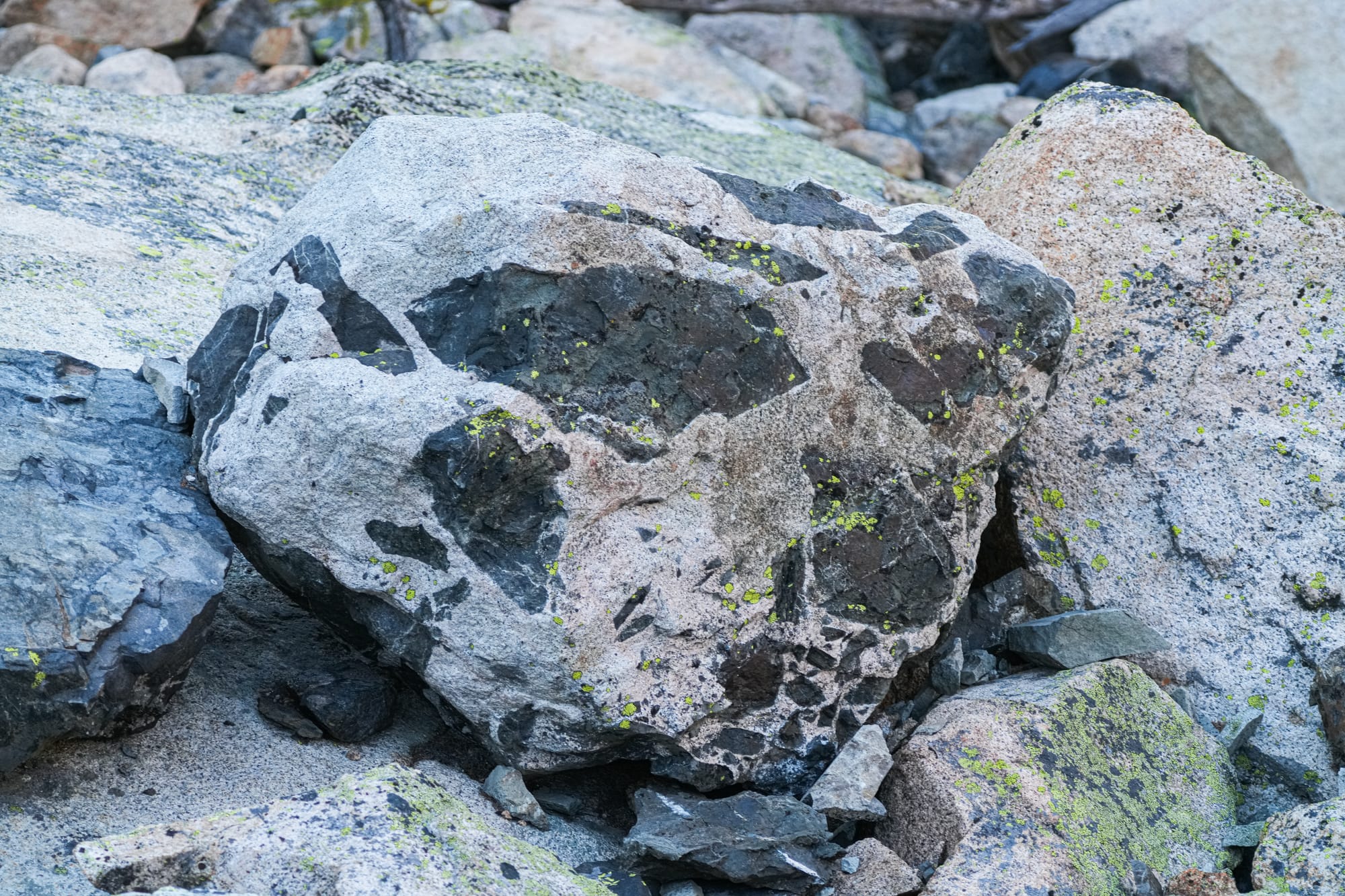 xenoliths