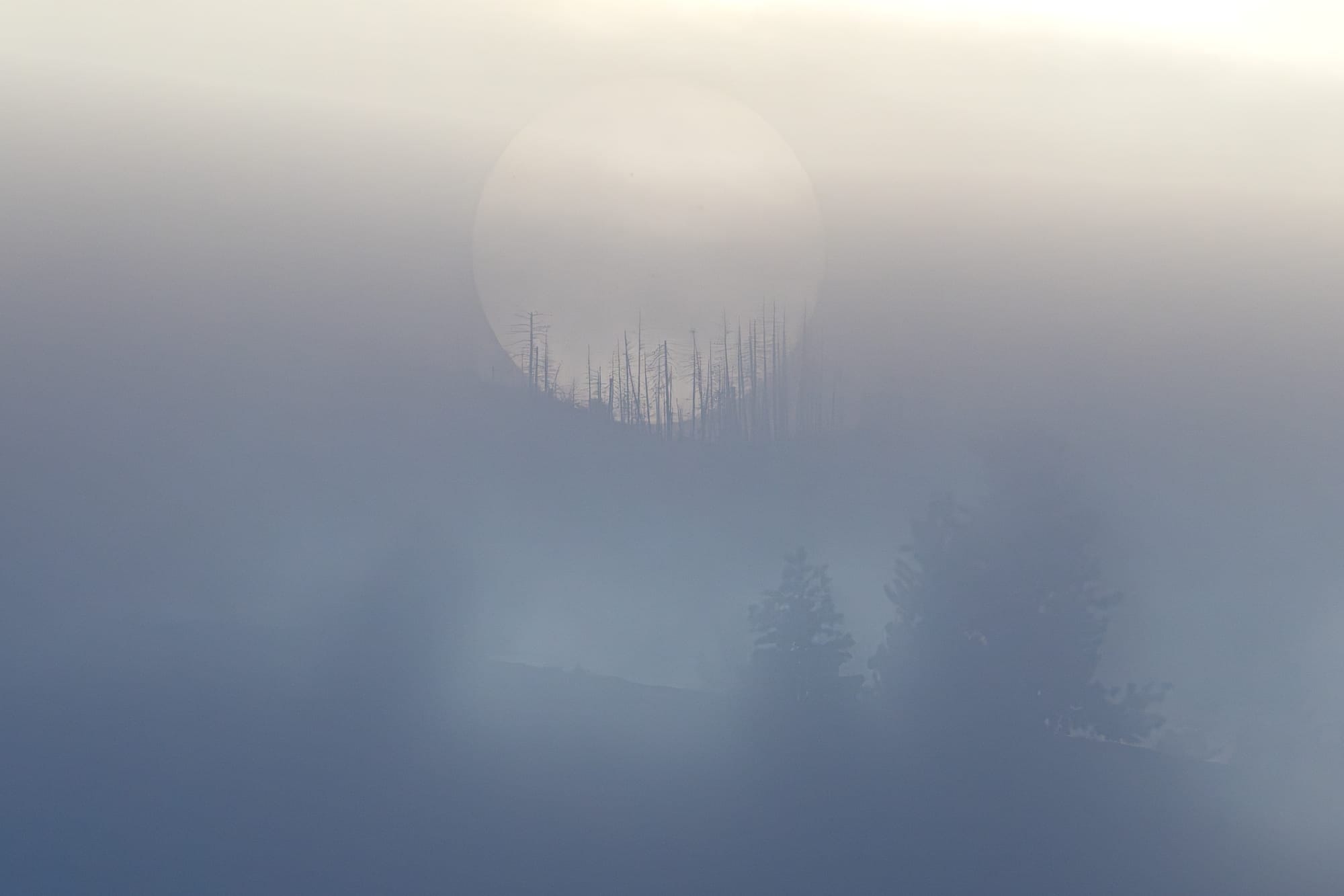 sun shining through fog