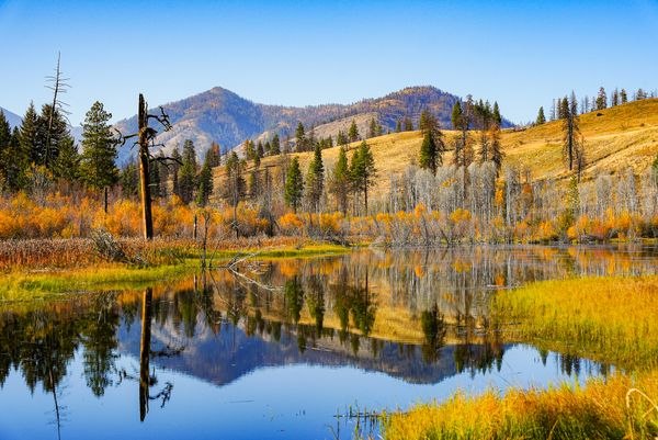 fall colors around beaver pond