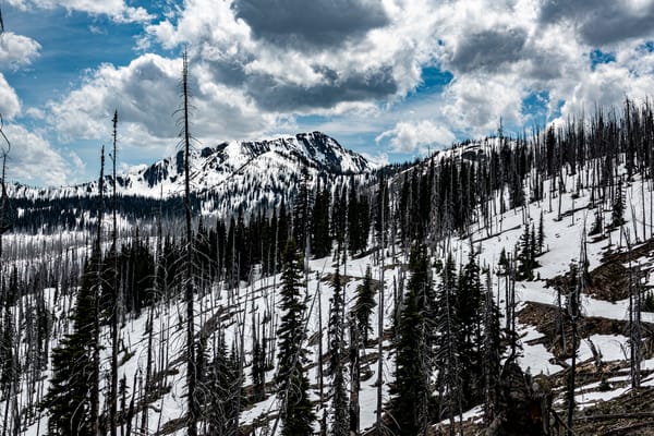 snow at Harts Pass
